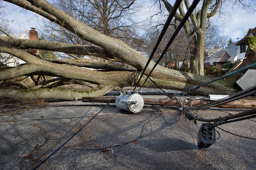 Major Event Days downed powerline and trees